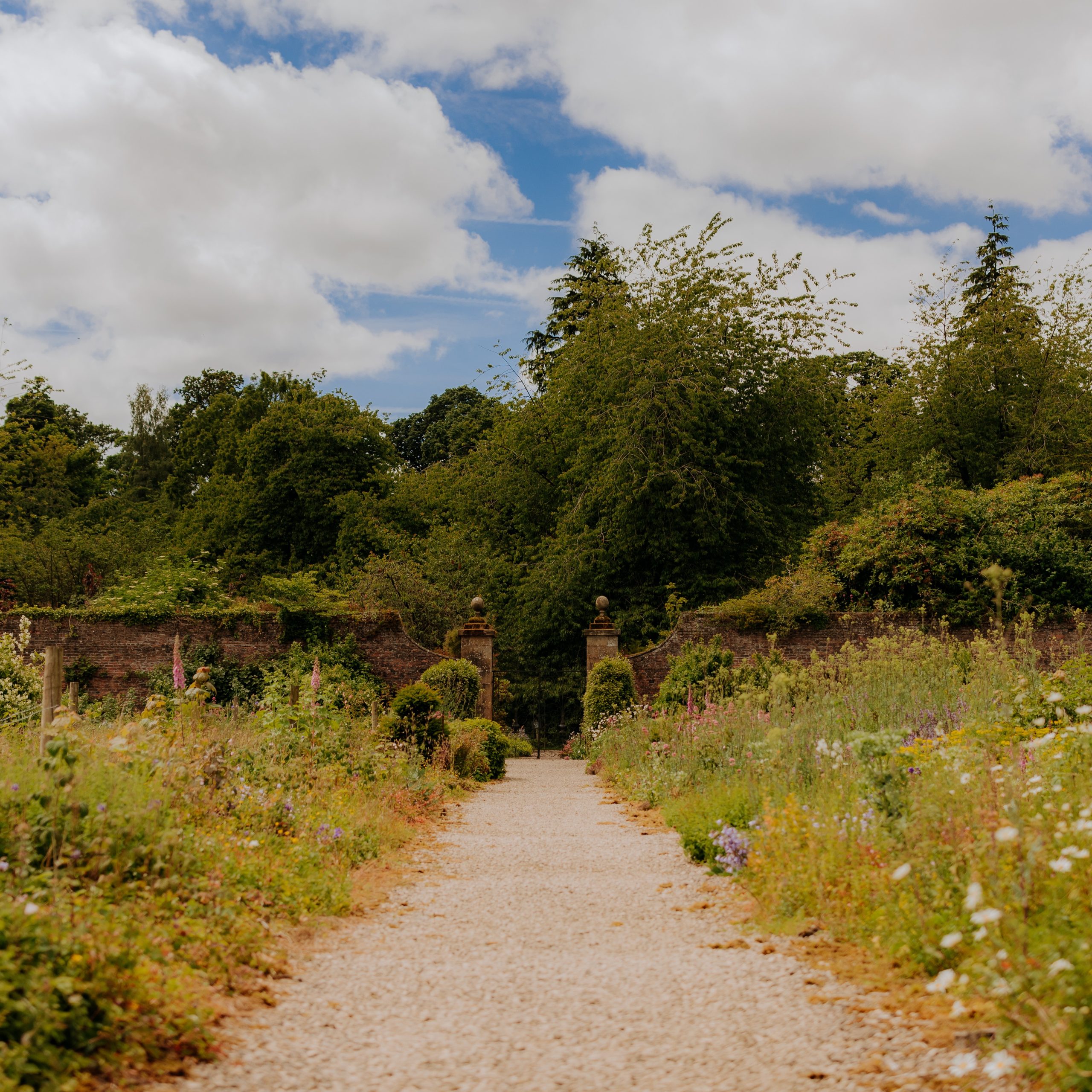 Garden Lunch for one